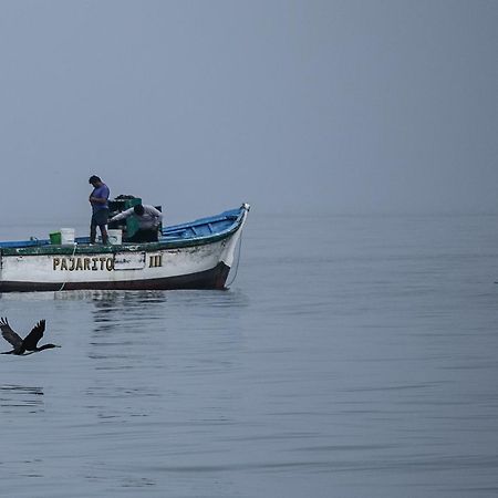 Apartamento Frente A Islas Ballestas Paracas Esterno foto