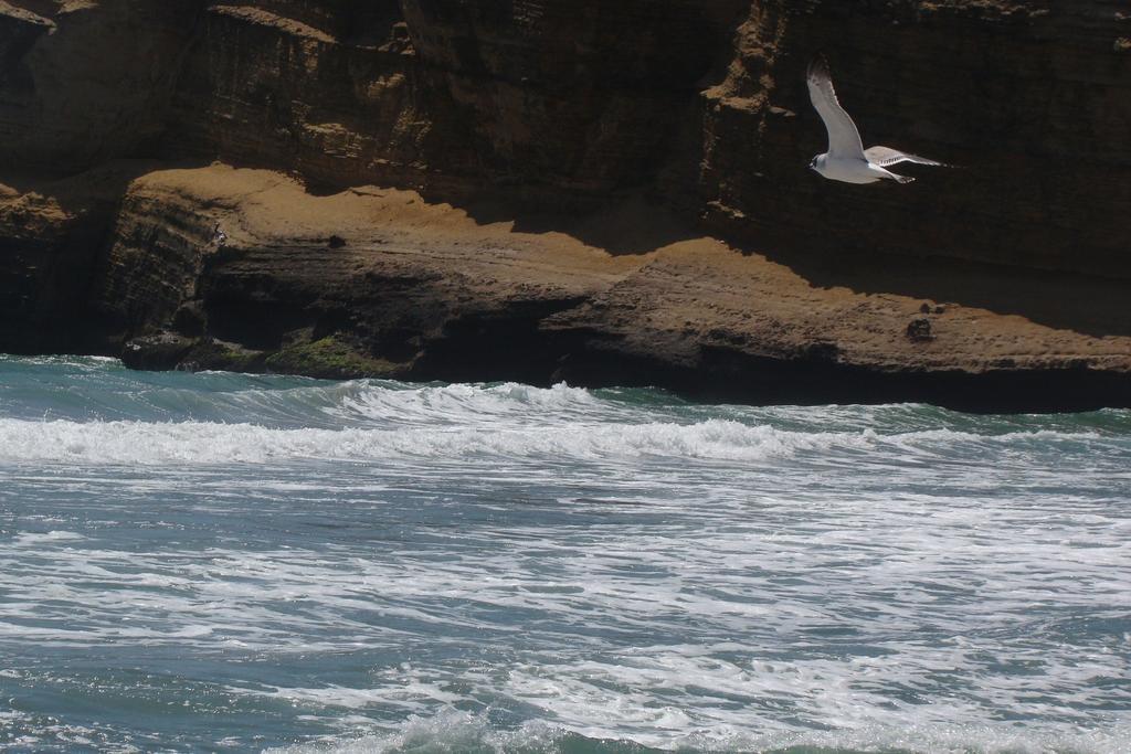 Apartamento Frente A Islas Ballestas Paracas Esterno foto
