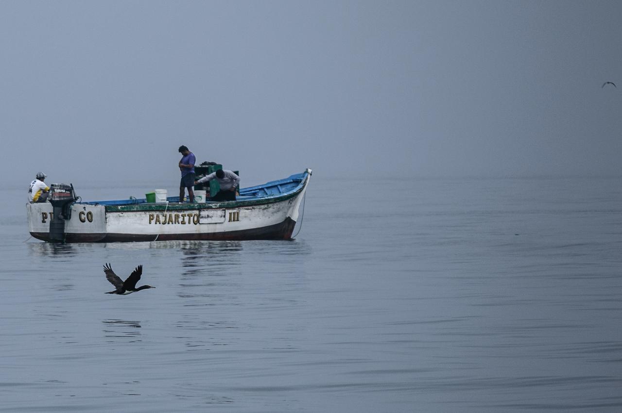 Apartamento Frente A Islas Ballestas Paracas Esterno foto