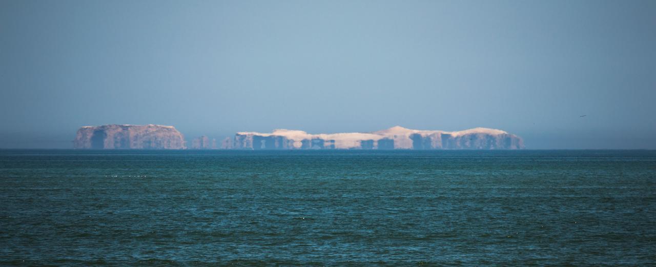Apartamento Frente A Islas Ballestas Paracas Esterno foto